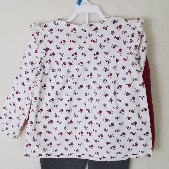 Carter's Baby 3-Peice Sweater‎ Set Size 24mo in Pink, Gray, White w/ Flowers - Picture 6 of 10